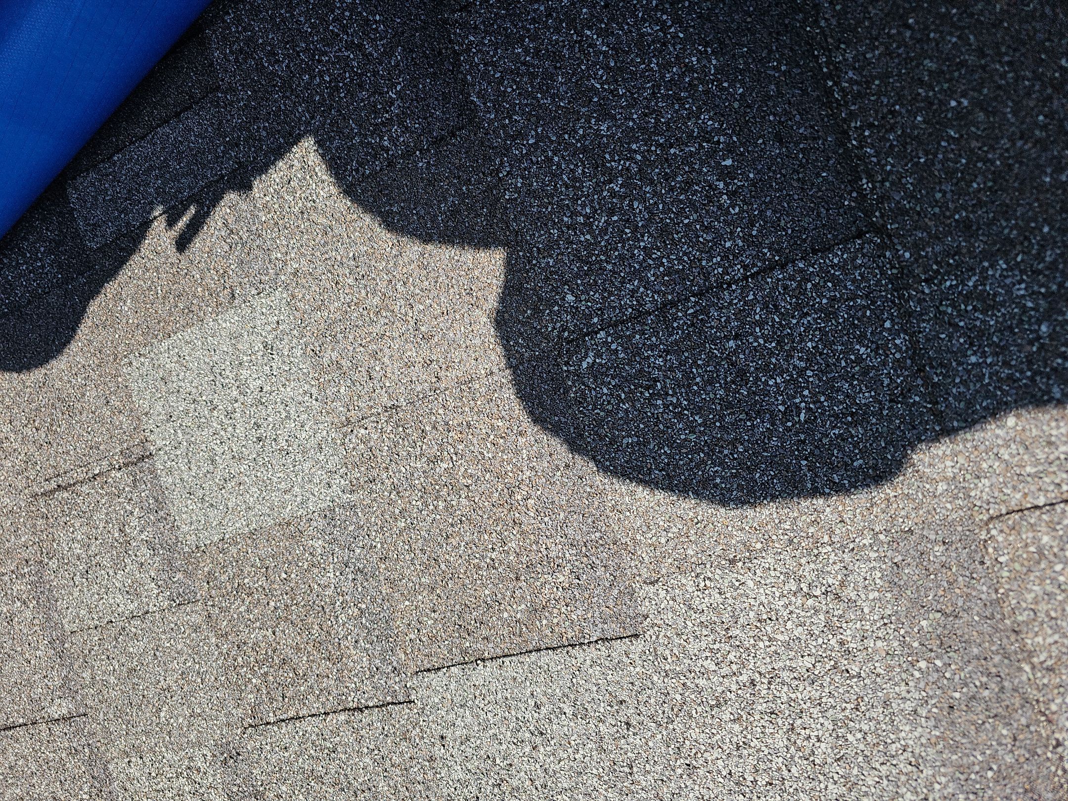 ATLAS PINNACLE HP W/SCOTCHGARD HEARTHSTONE  by Eagle Eye Roofing