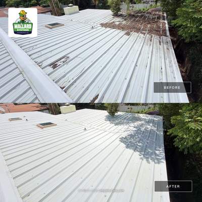 White Metal Roof Cleaning and Roof Debris Removal
