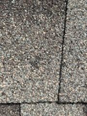 Project in Garland by EL-GC LLC 