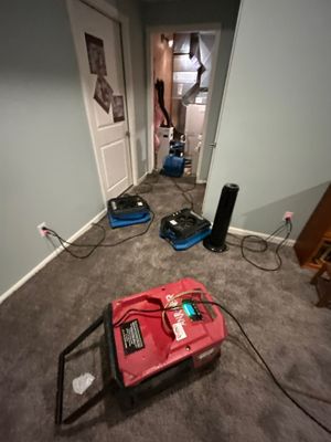 Water Mitigation Services in Pekin, IN