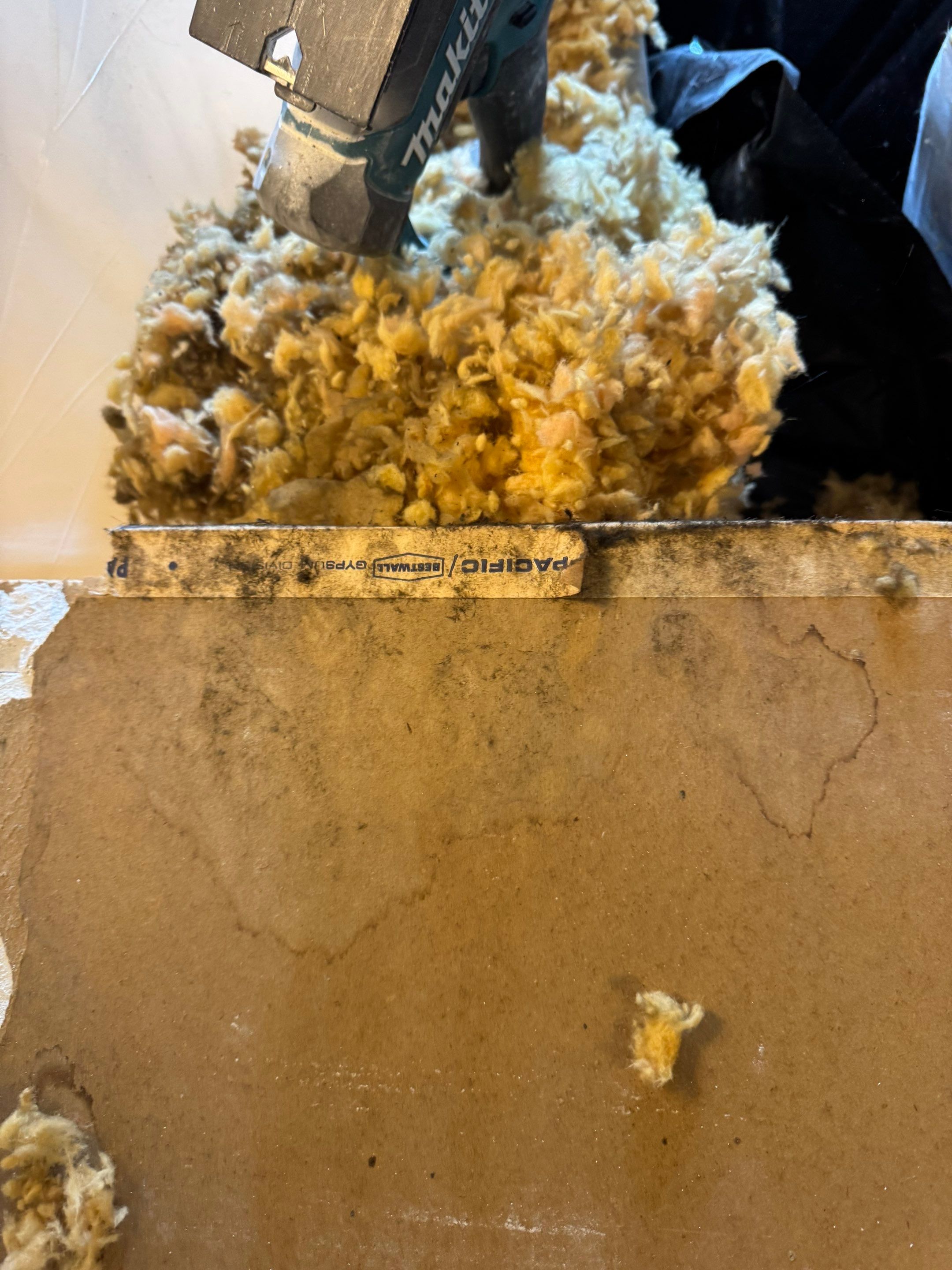 Bathroom Mold by Chicagoland Water Medics