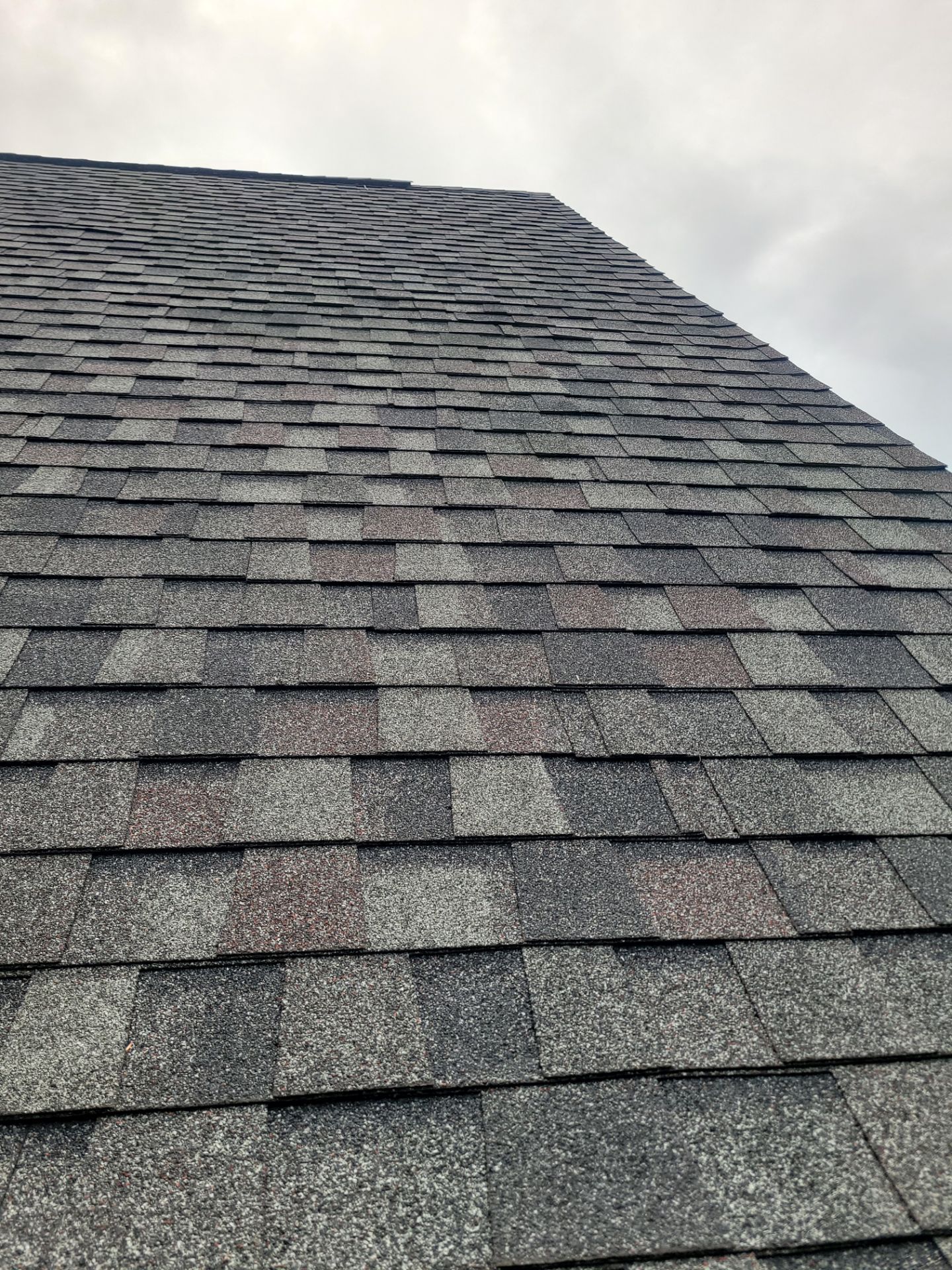 Monica Purich by Silver Leaf Contracting 