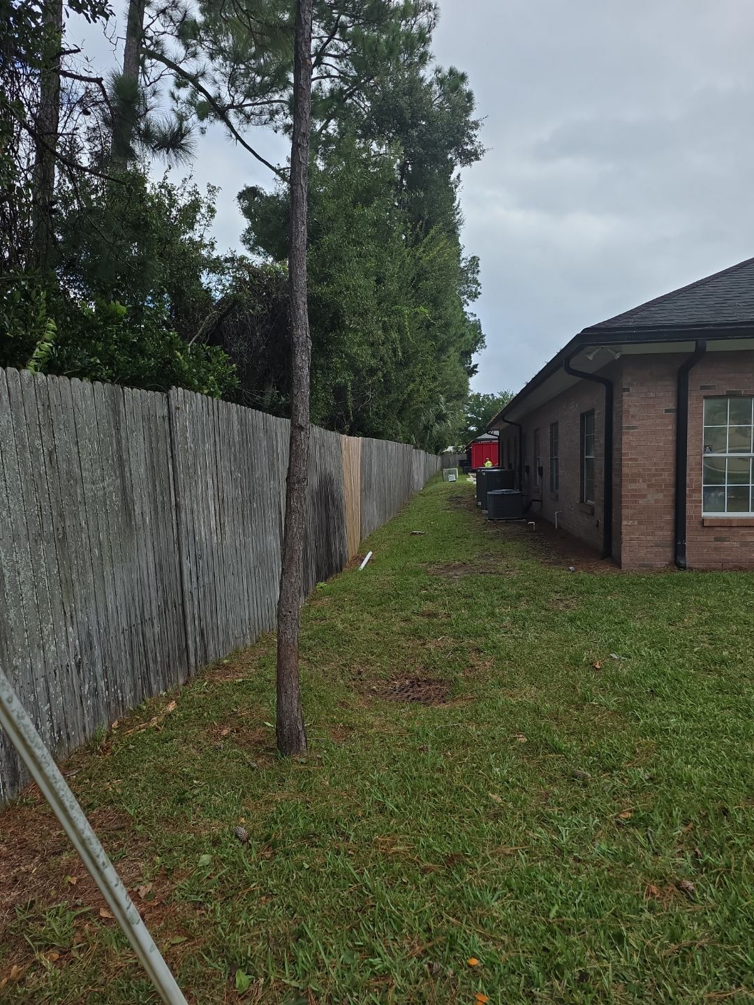 Commercial Property | Tree Removal & Trimming by ProGreen Services