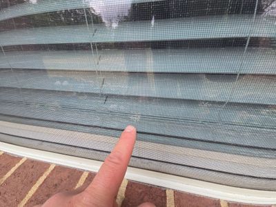 Close up of a finger pointing to a window screen.