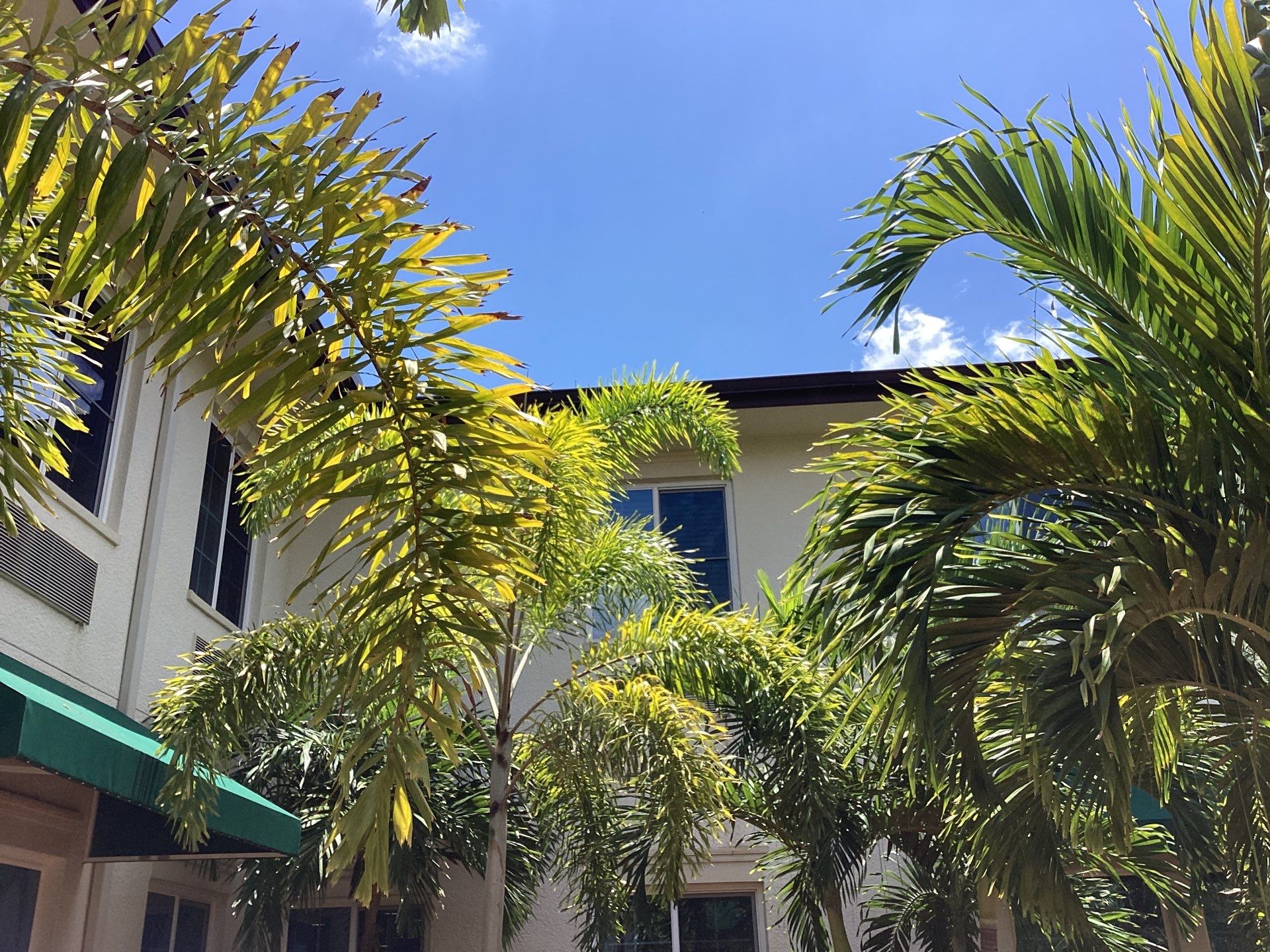 Musket Brown Seamless Gutters using Musket Brown Seamless Gutters in Capen Coral FL by Gutter Professors