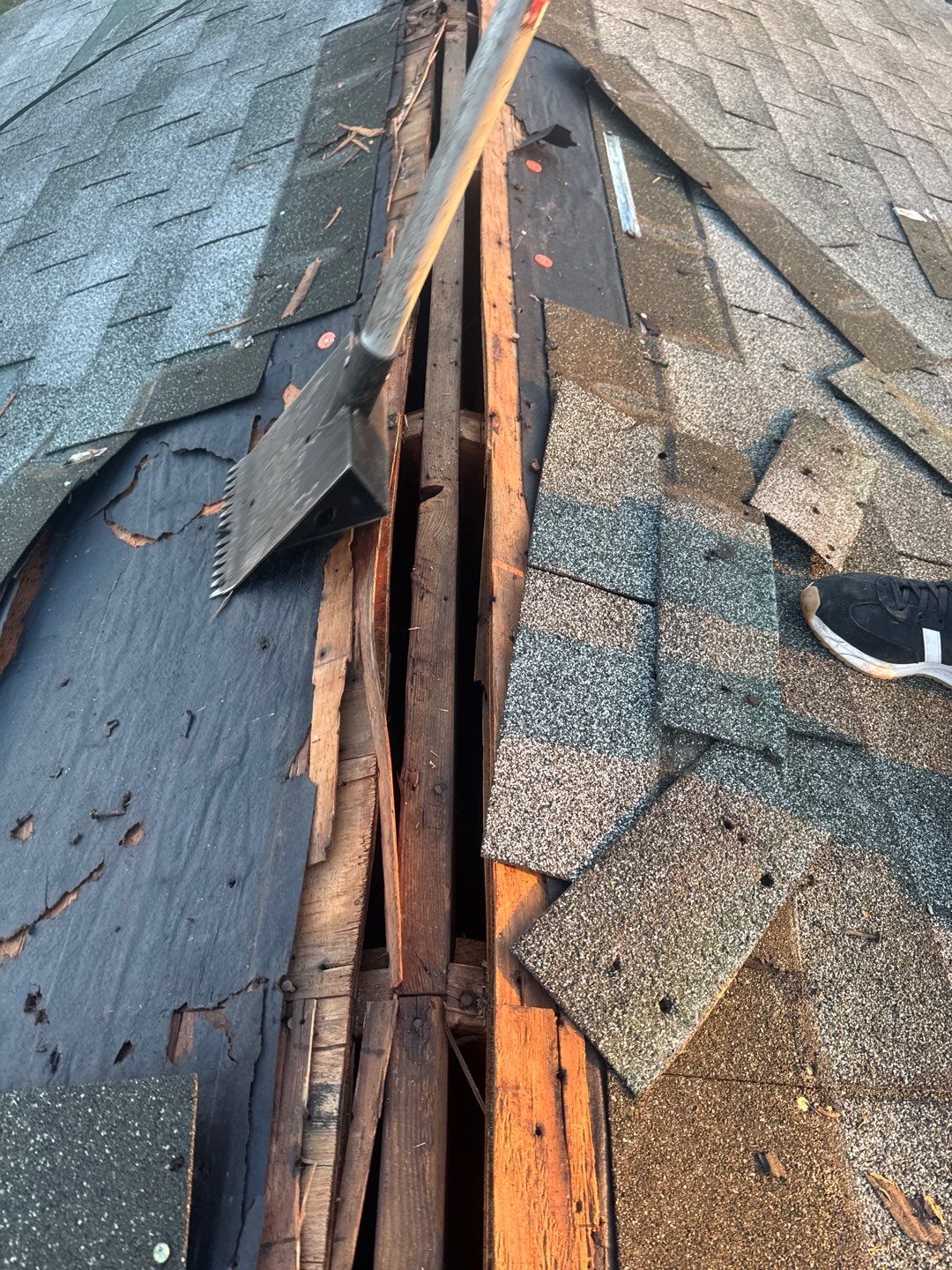 Project in Catonsville by Elvis General Construction LLC