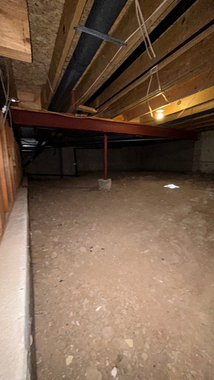 Mold Damage by Accountable Home Services