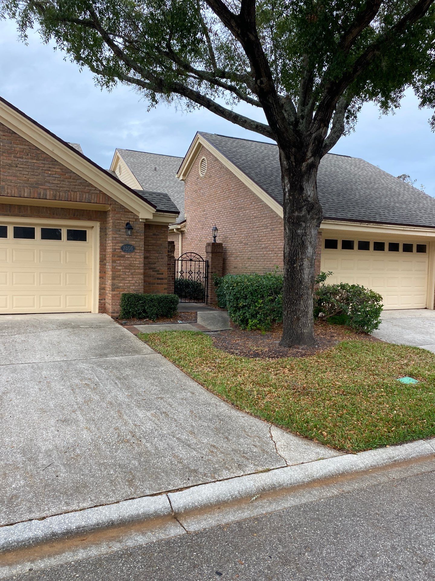 Deerwood Pointe | Tree Removal & Pine Straw Installation by ProGreen Services