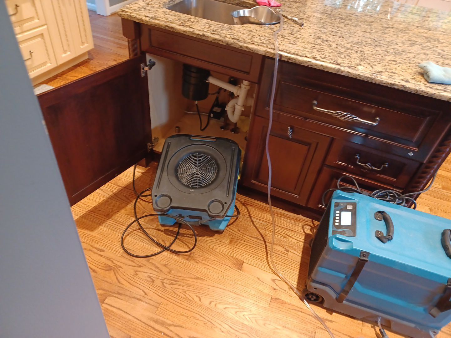 Project in Novi by EzDry Water Mitigation & Property Restoration