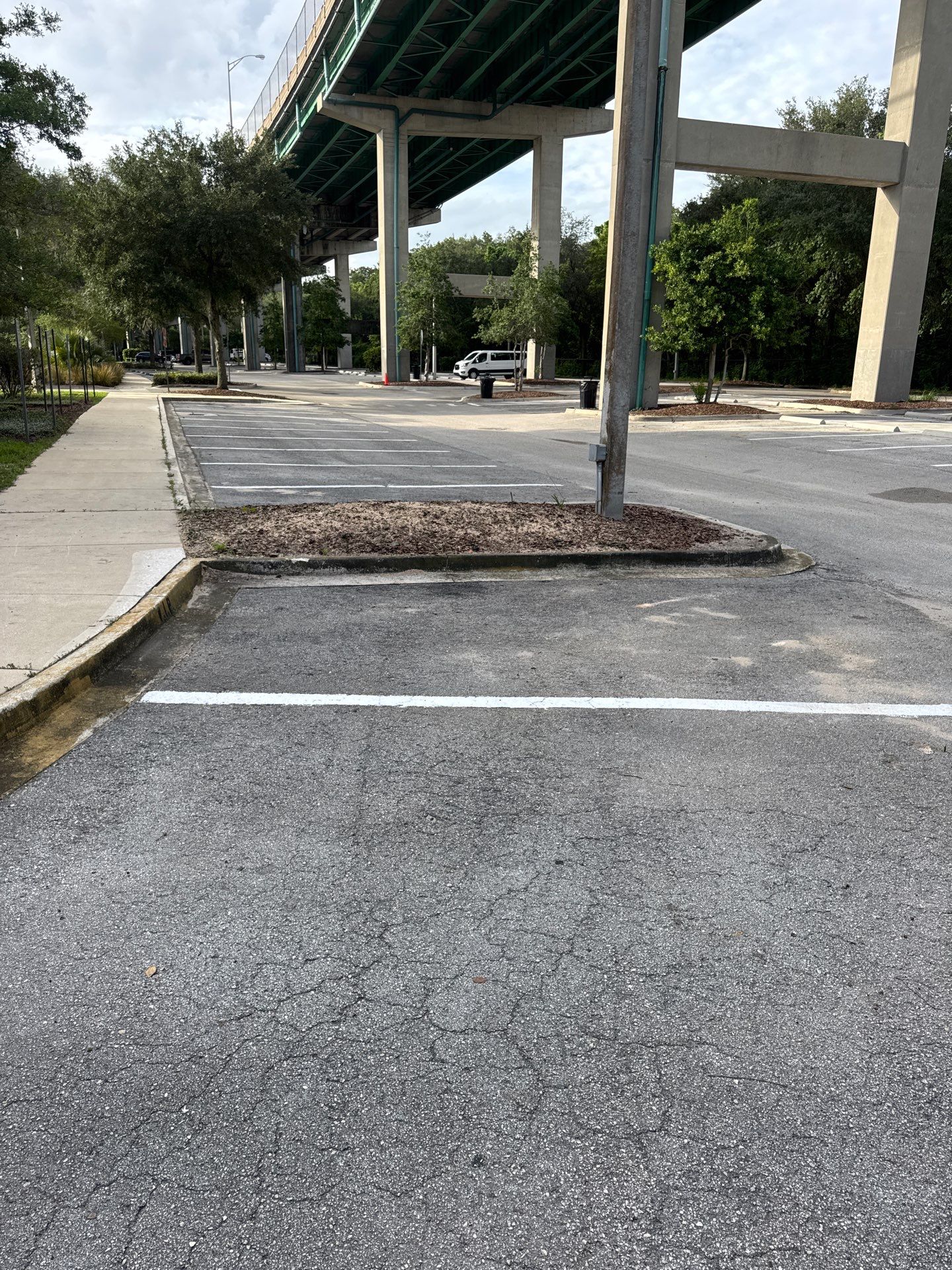 Episcopal - Munnerlyn Campus | Tree Removal by ProGreen Services