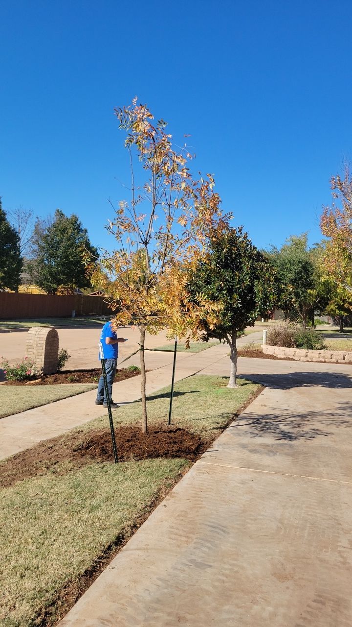 Landscape  by Clays Services Inc