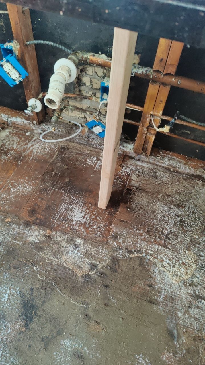 Mold Damage by Accountable Home Services