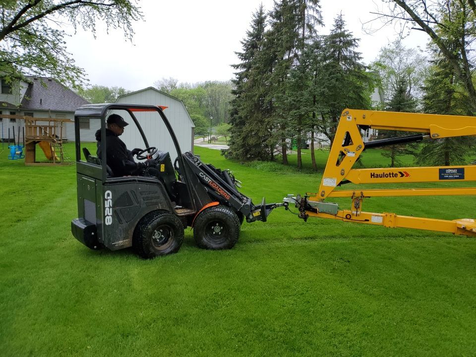 Tree Removal using Tree Removal by Mike Jones & Sons Tree Service LLC 