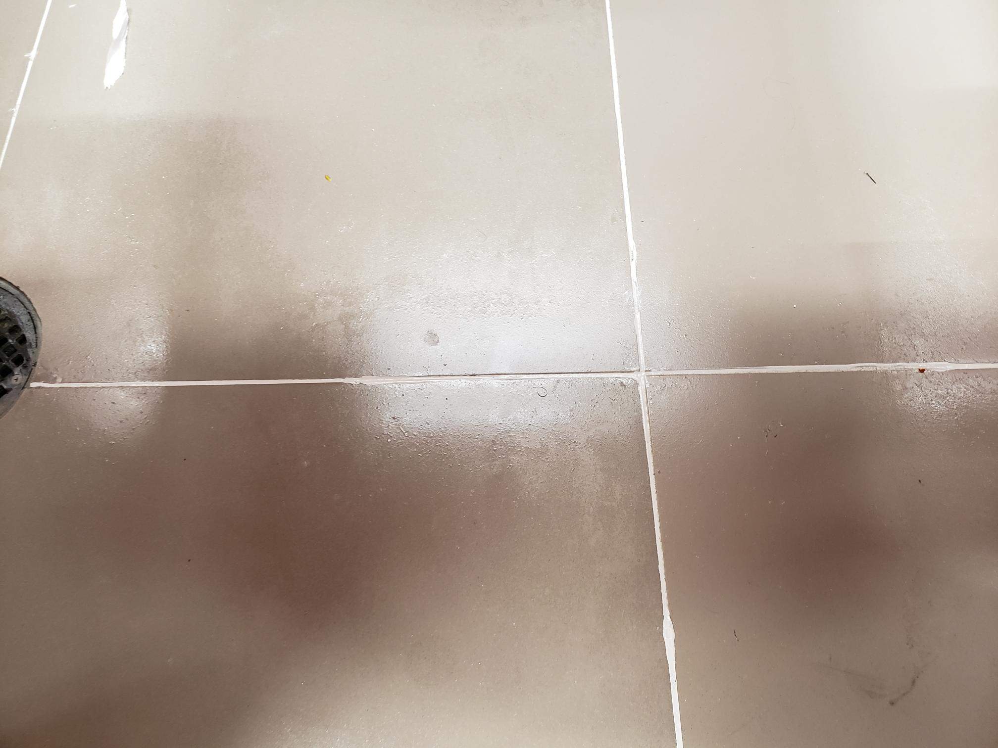 SaniGlaze Removal and reconditioning using CareGuard by Corporate Care