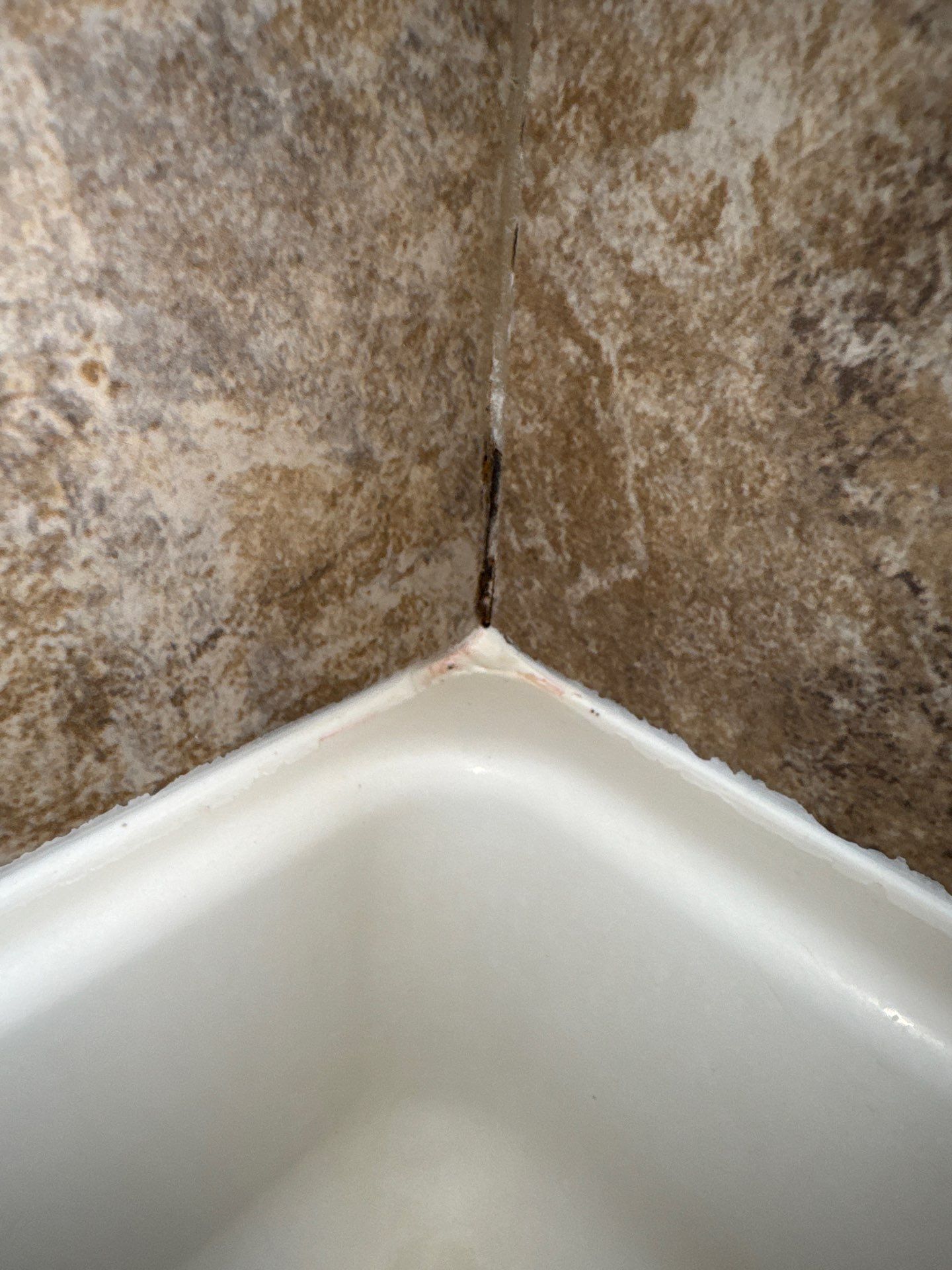 Project in Westminster by Accountable Home Services