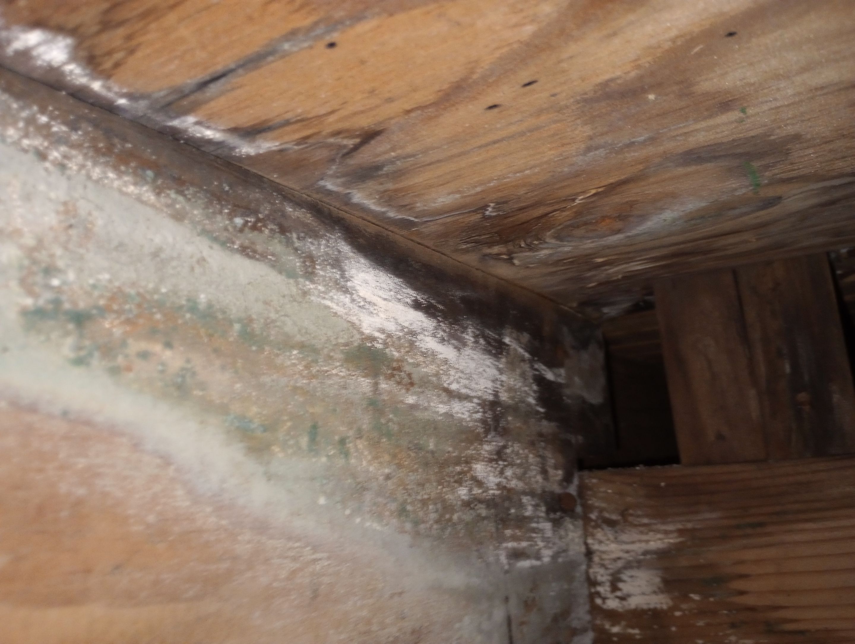 Mold Remediation Estimate in Crawlspace by ANR Restoration