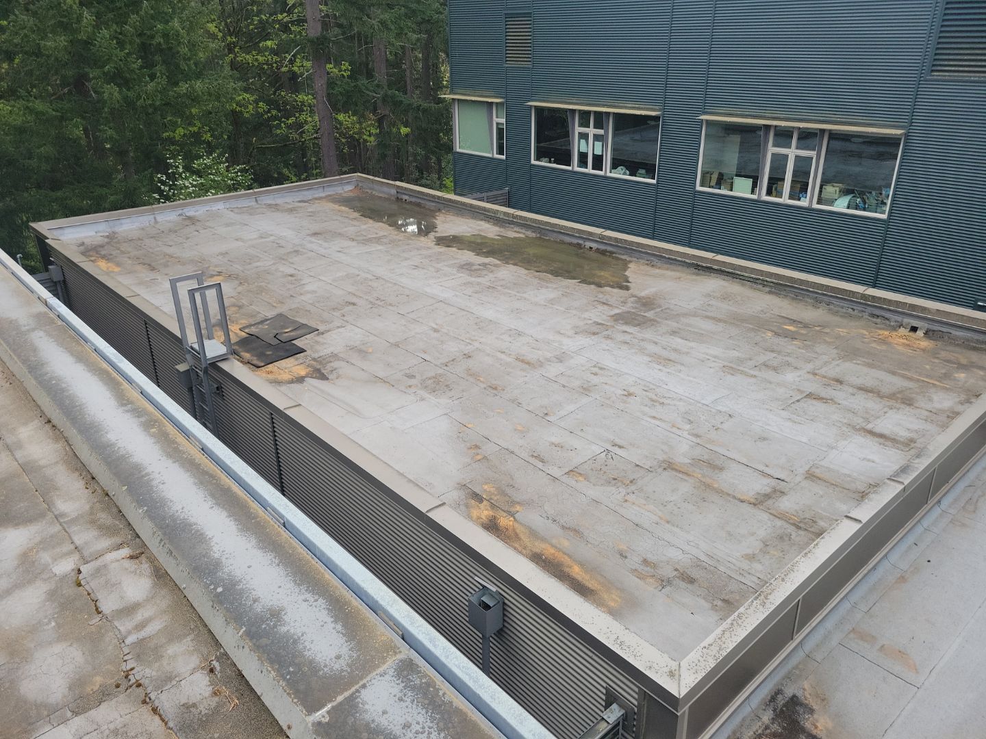 2026 Bellevue Commercial Building Overlay by Alternative Roofing Systems Inc. 