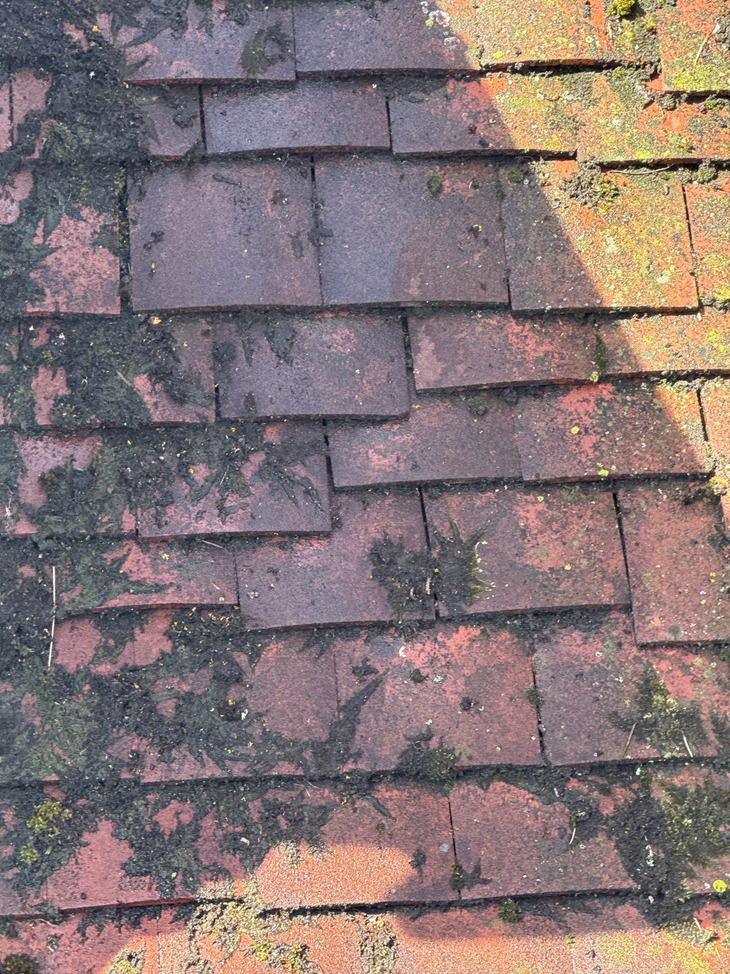 Roof And Driveway Clean by Ges Exterior Cleaning ltd