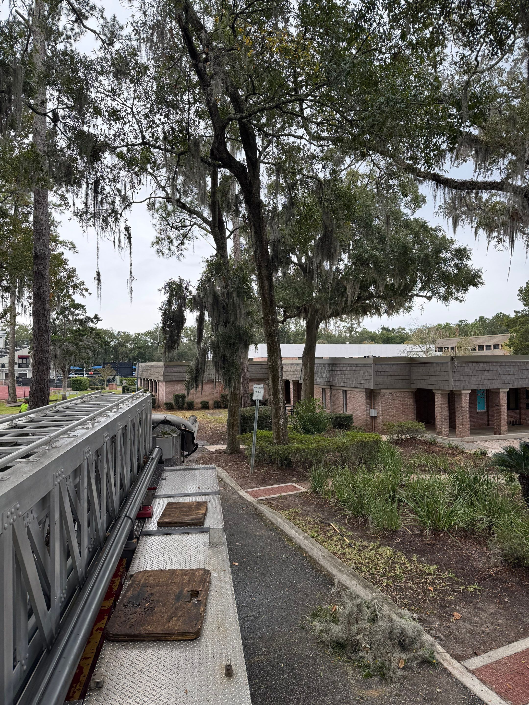 Volunteer Work | Episcopal High School of Jacksonville by ProGreen Services