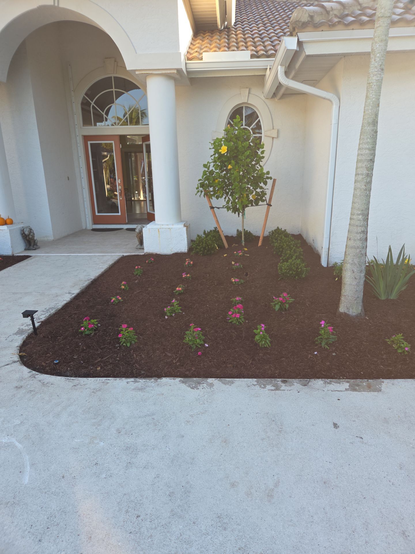 🌴 Landscape Removal and Install in Palm City by Alpha Zeta Enterprises Inc