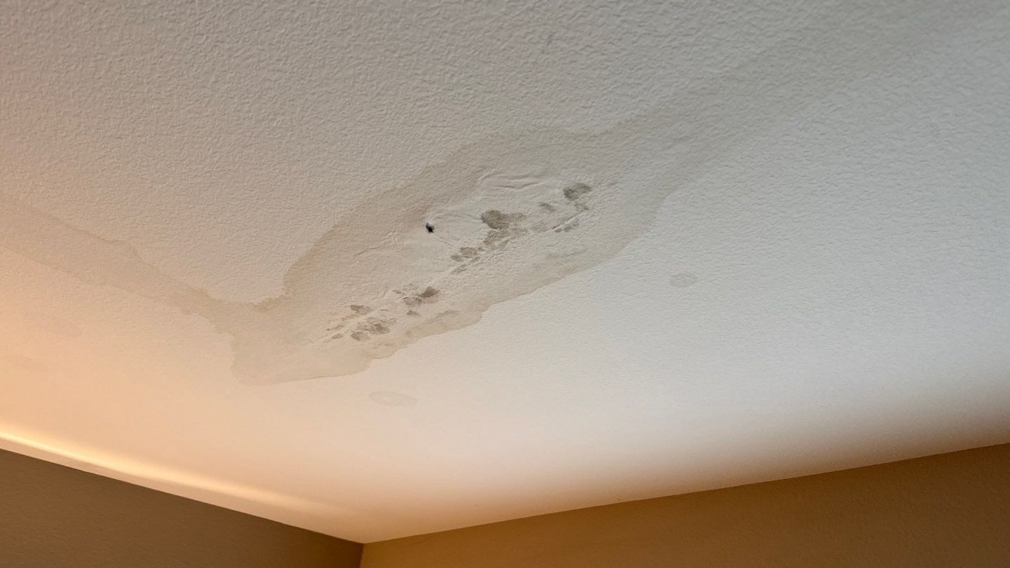 Project by NuLead Construction Inc by NuLead Construction Inc