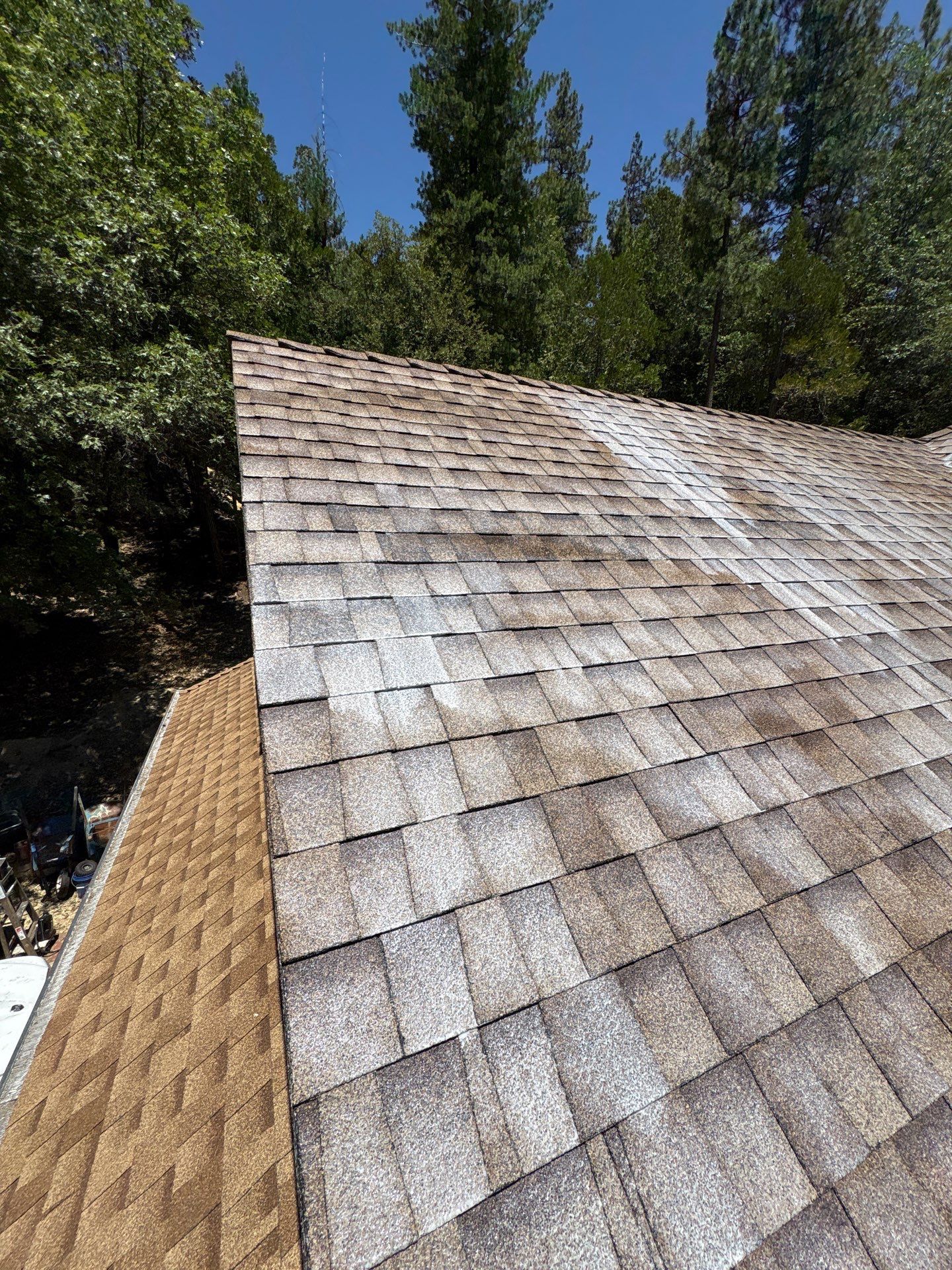 Roof Rejuvenation using Roof Maxx Treatment by Roof Maxx of Folsom