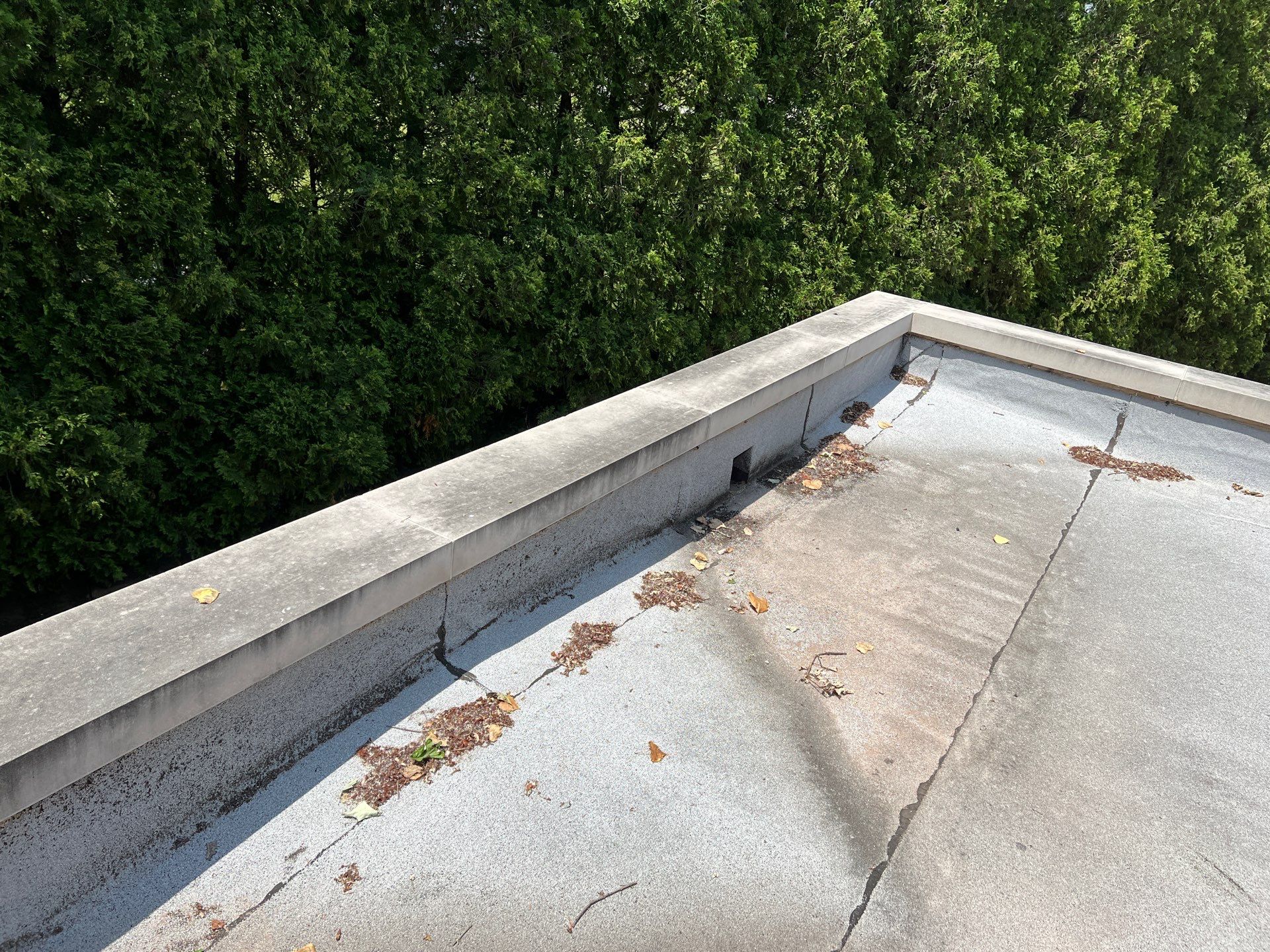 concrete cleaning using Algaecide, soft wash soap by Northern Power Washing LLC.