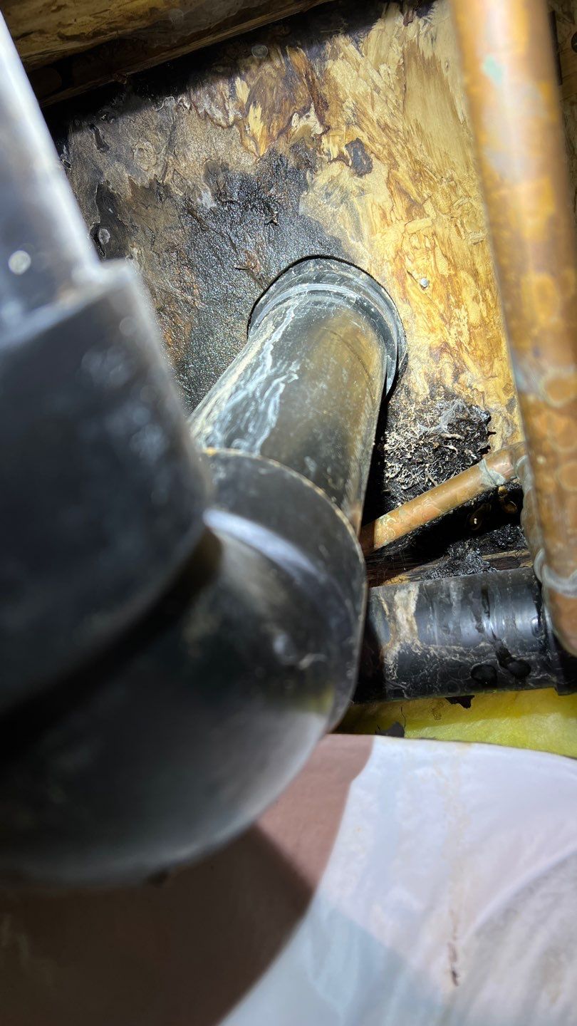 Mold Remediation by Accountable Home Services