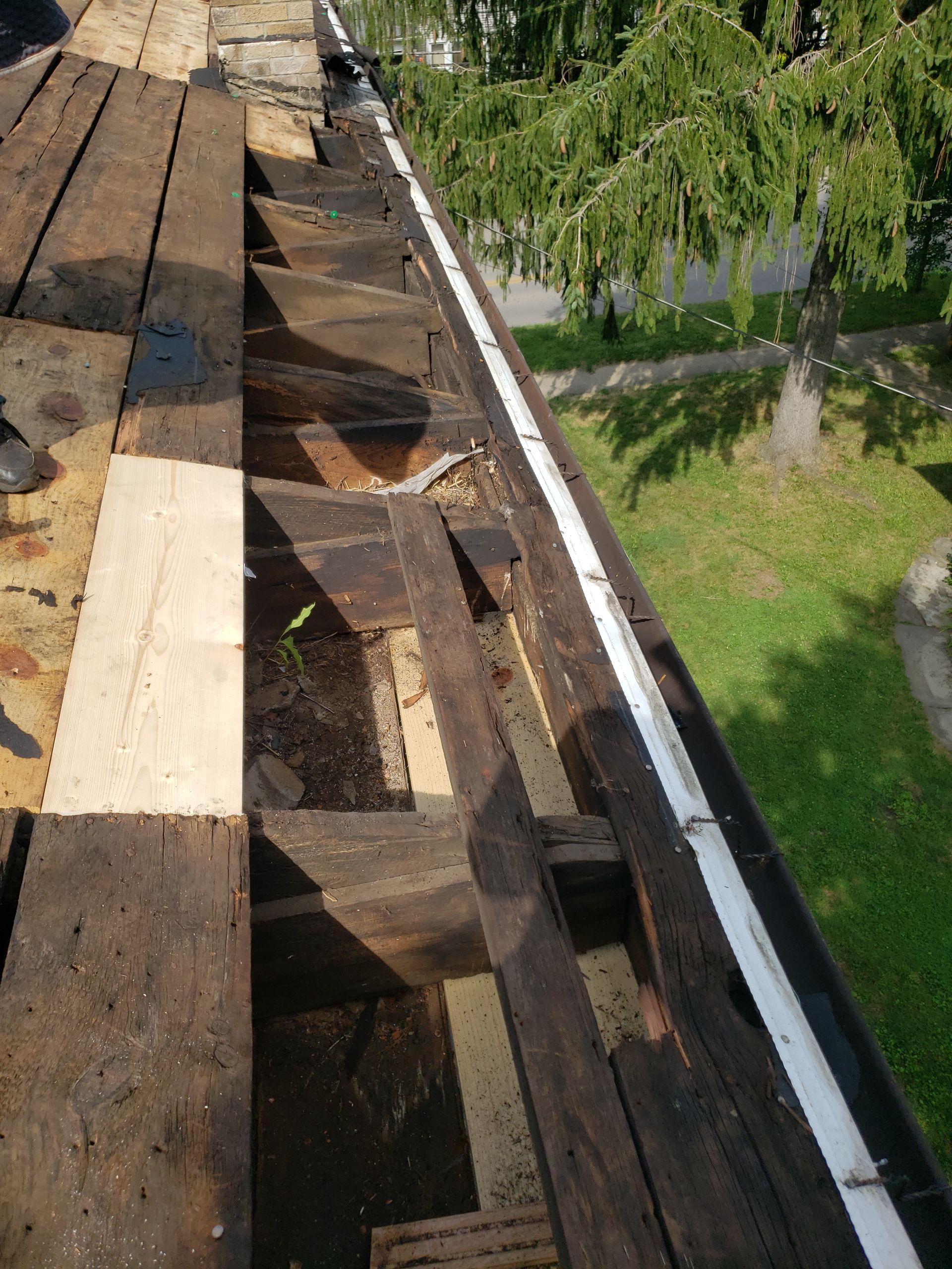 ATLAS PINNACLE COLOR: MAJESTIC SHAKE DRIP EDGE: WHITE by Eagle Eye Roofing