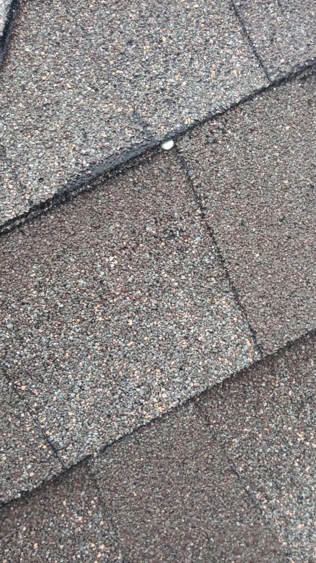 Hail Damage using Owen's Corning Duration (Lifetime) Shingles by Roof Repair Company