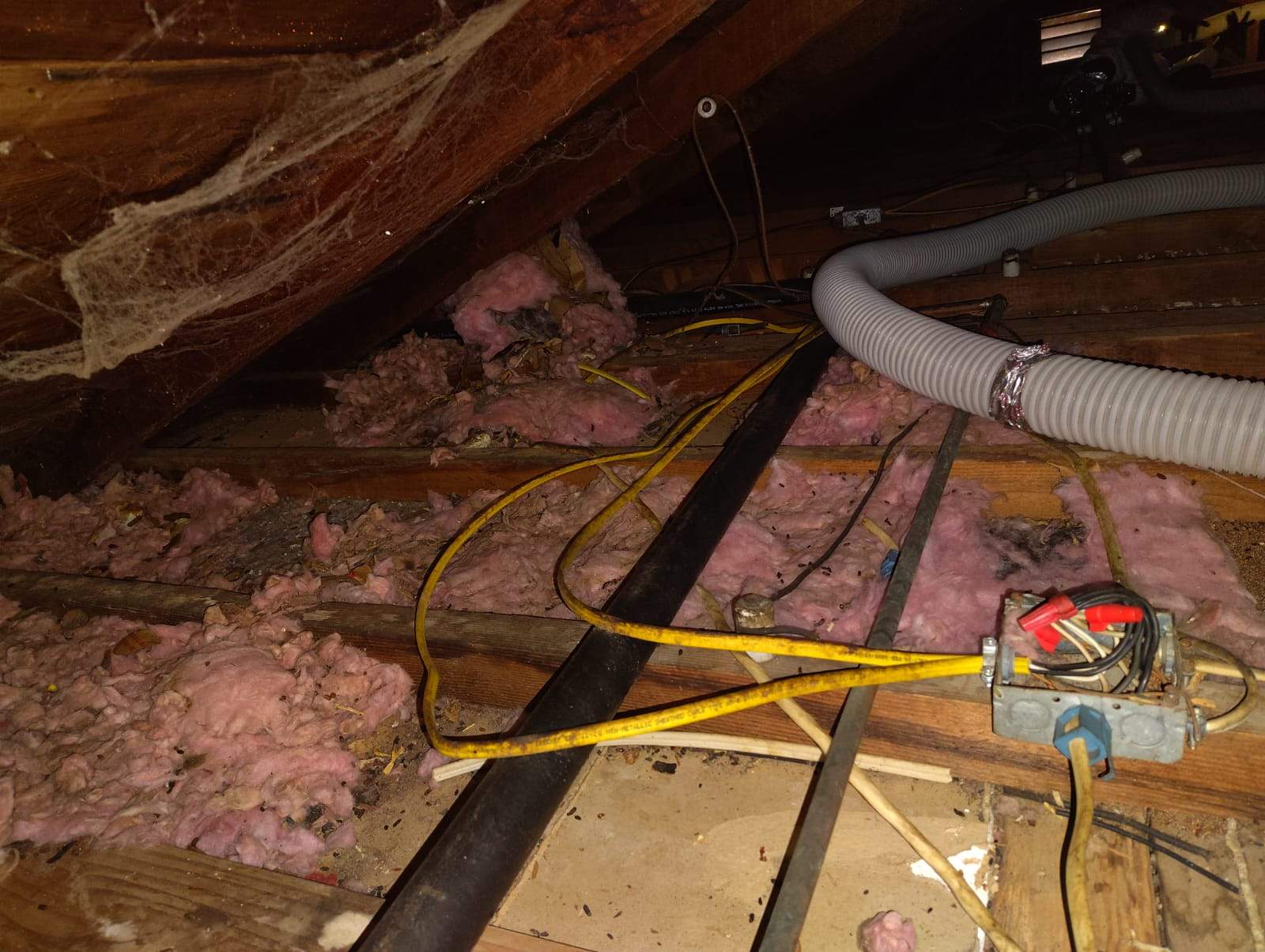 Project by Advanced Attic Solutions by Advanced Attic Solutions