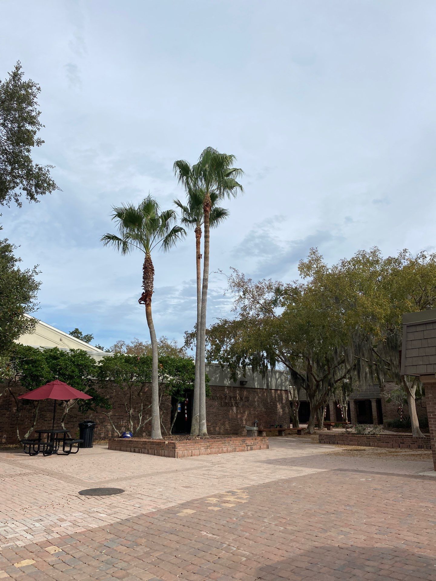 Volunteer Work | Episcopal High School of Jacksonville by ProGreen Services