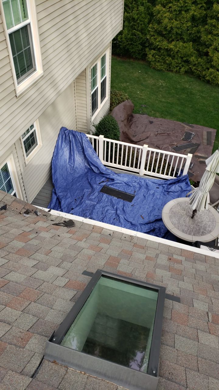 Springfield Certainteed Landmark Pro Designer Shingles by RM Banning, Inc.