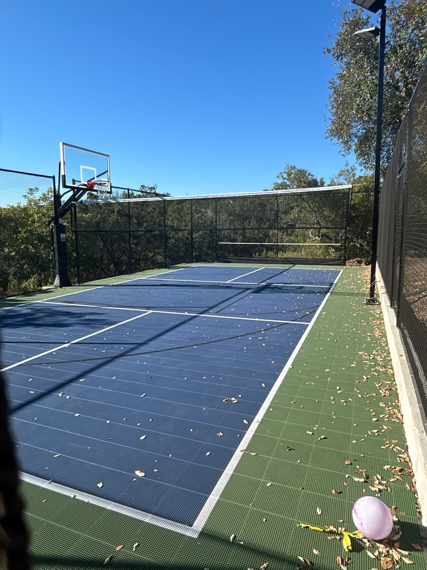Wardle 28 X 55 by Sport Court Austin