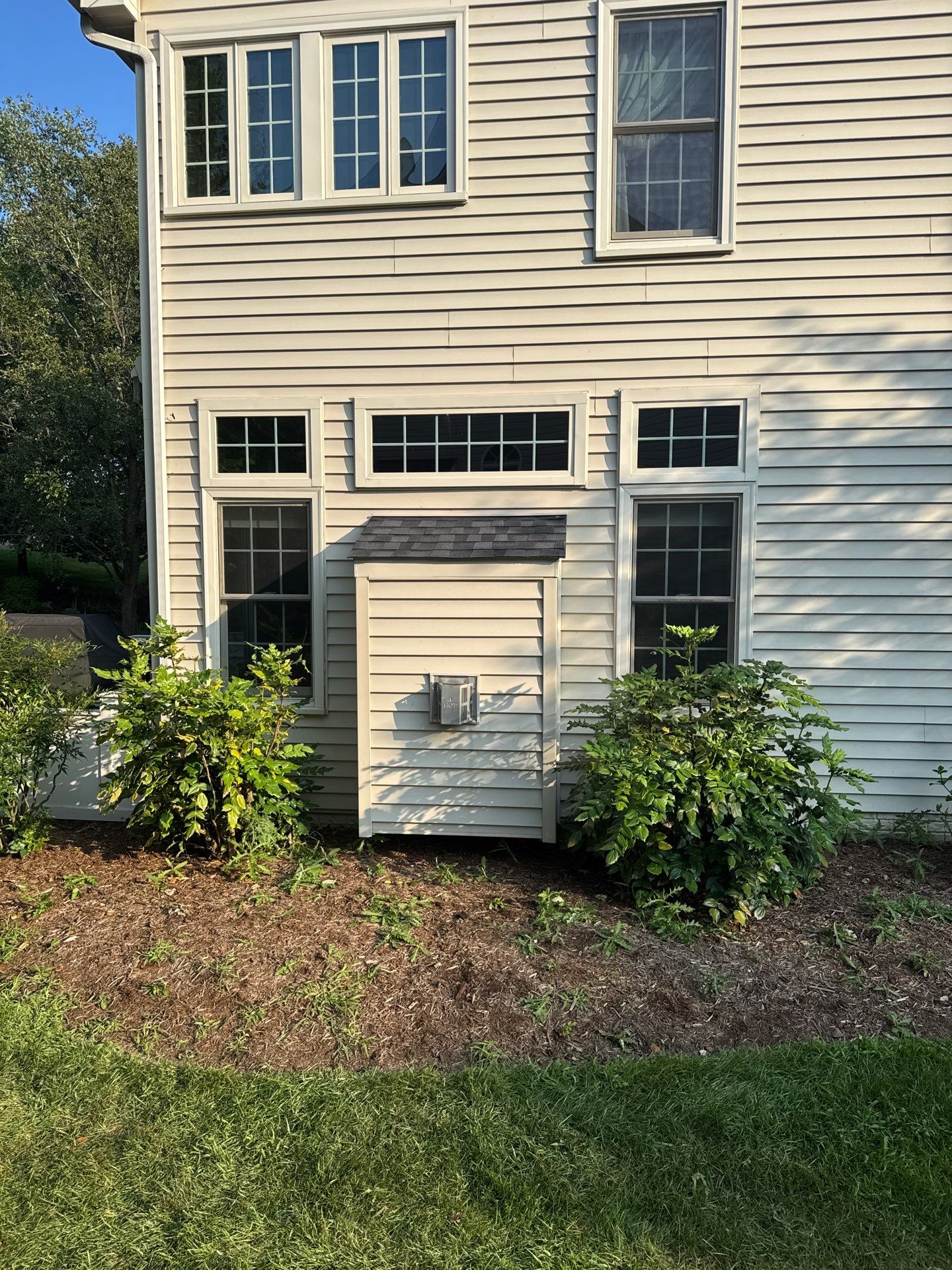 New Shingle Roof & New Gutters and downspouts with covers by Alpha Design Services