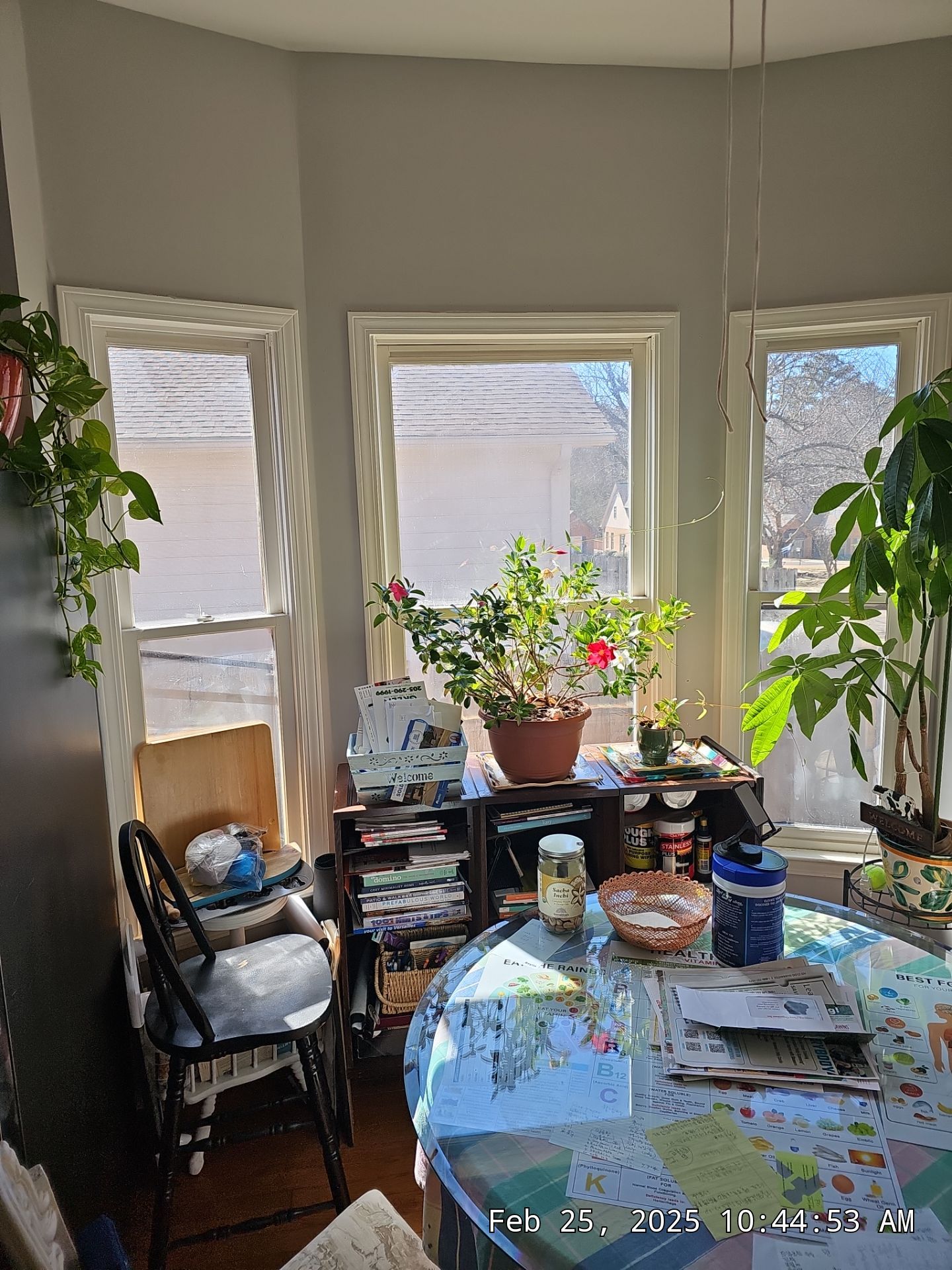 Bailey Project in Vestavia Hills by The Window Source