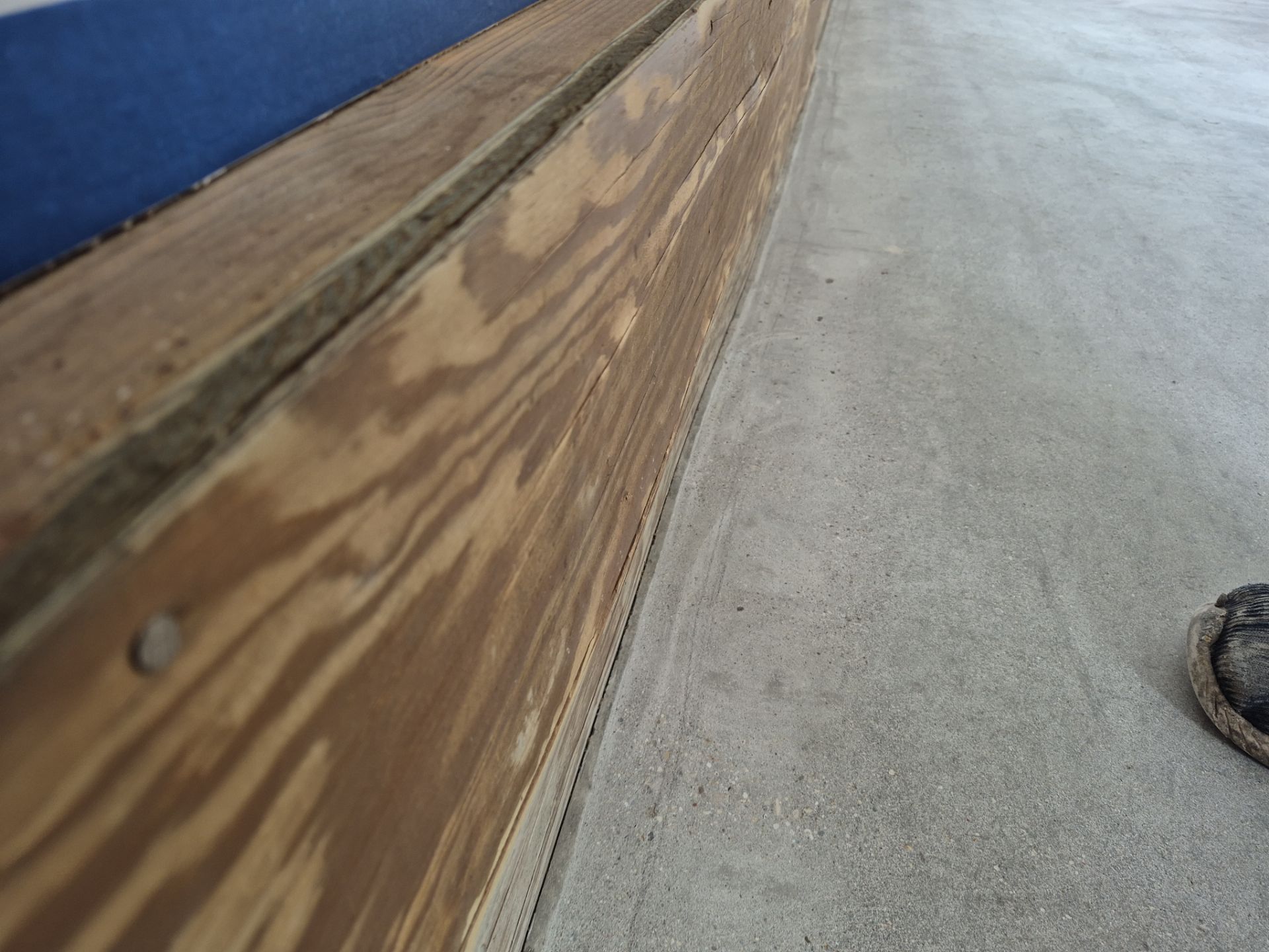 Cabin Fever  by Wise Coatings of Central Michigan