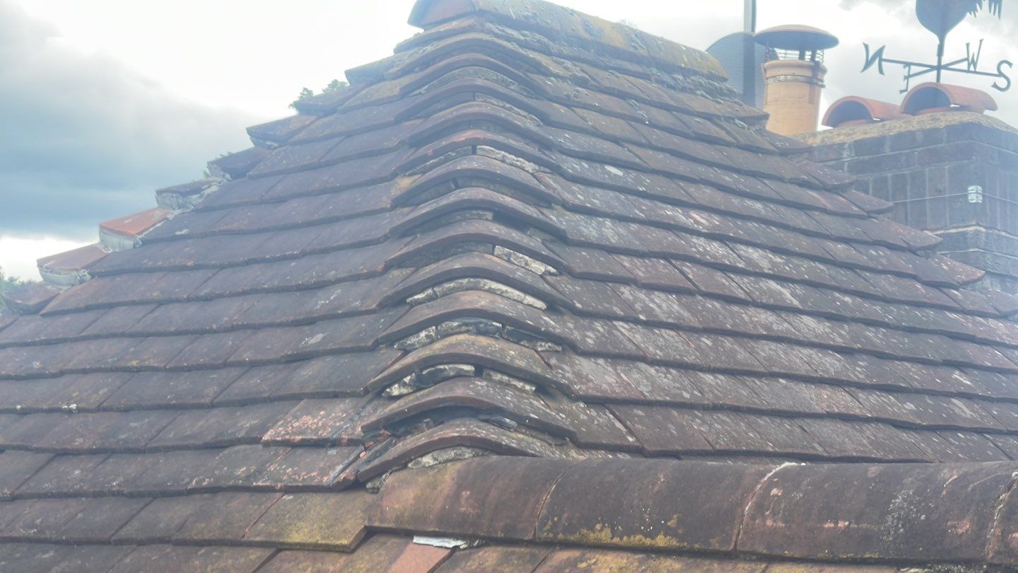 Roof Clean - Biocide Treatment using Honda 15lpm Low Pressure Washing Machine by Ges Exterior Cleaning ltd