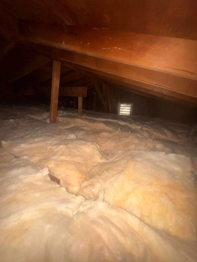 Project by Advanced Attic Solutions by Advanced Attic Solutions