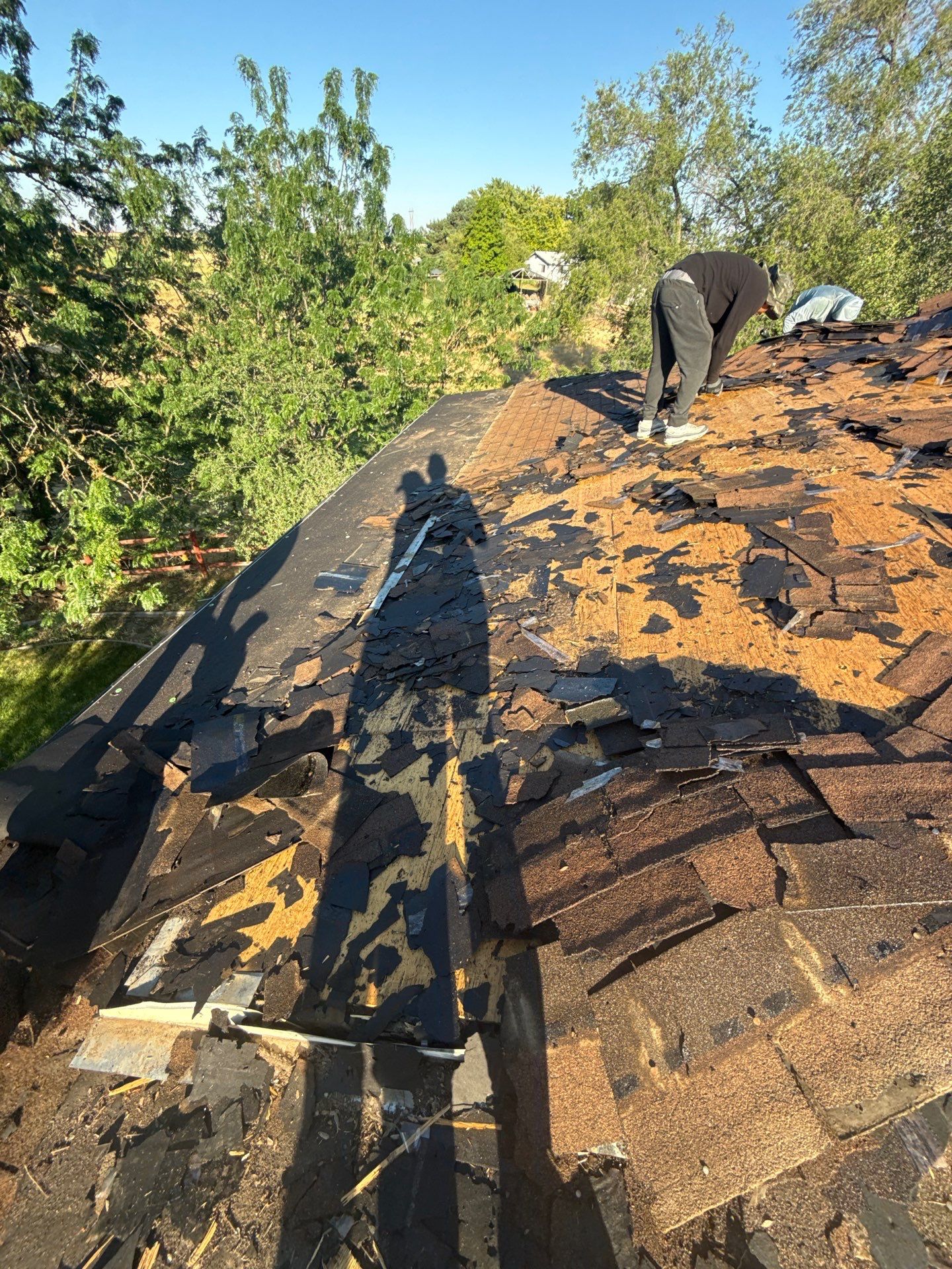 Full Residential Roof Replacement With Architectural Shingles In Fruitland Idaho by Olive Roofing