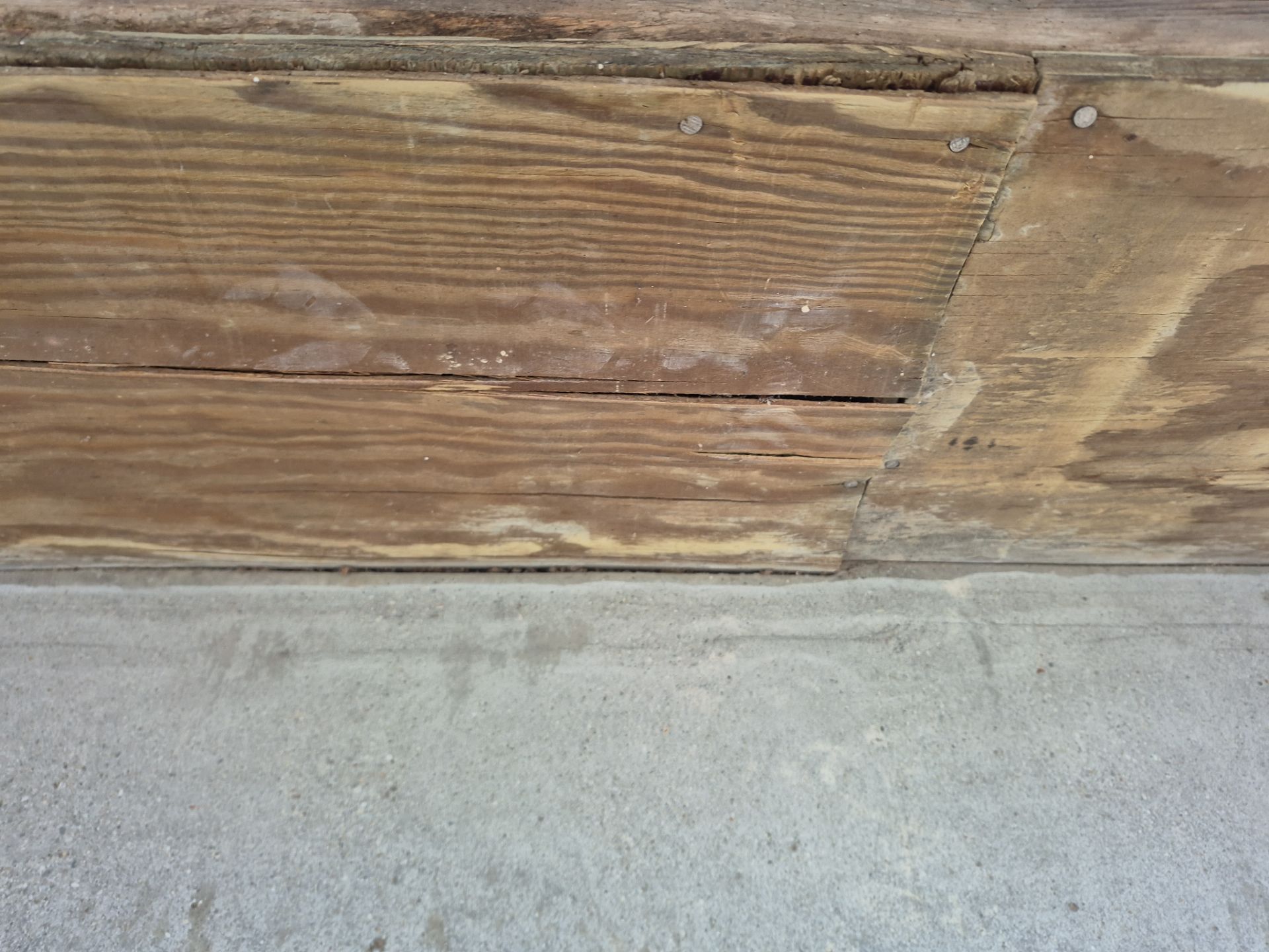 Cabin Fever  by Wise Coatings of Central Michigan