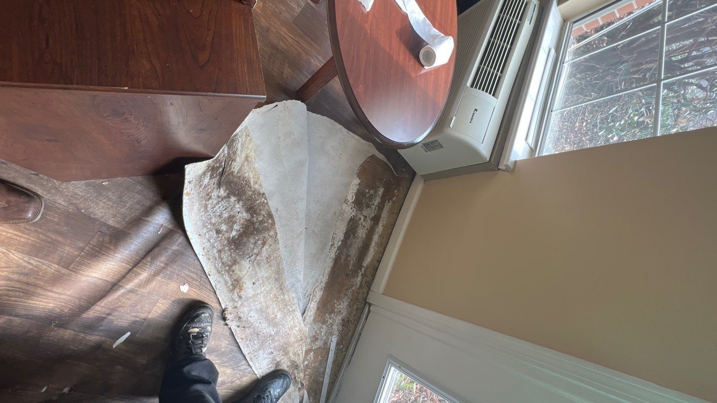 The Gardens of Rome by PC&D