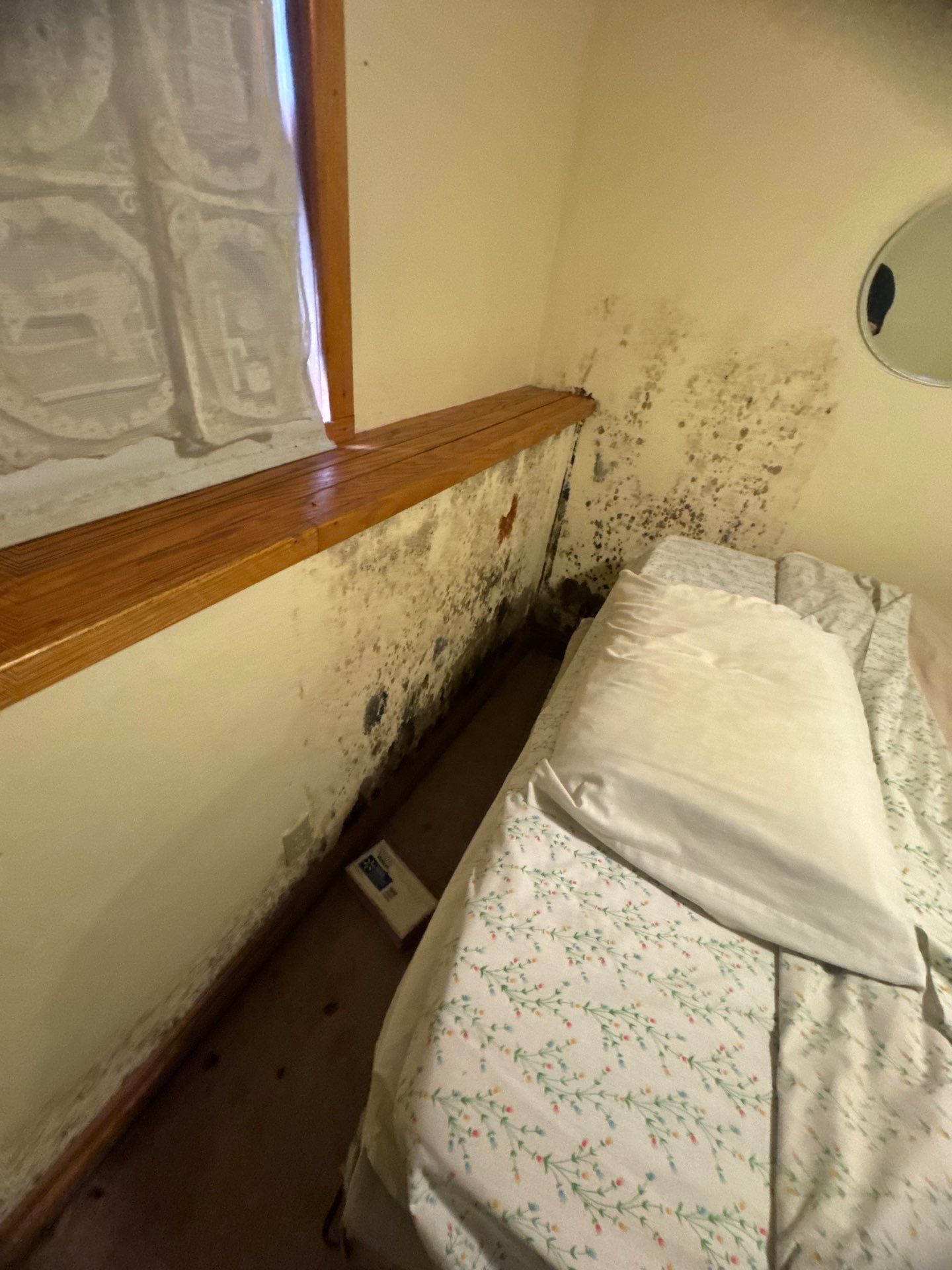 Mold Remediation by Dry Source Property Restoration