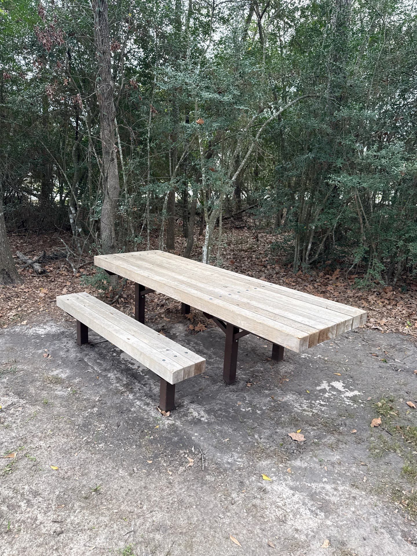Clean and Stain Picnic Tables and Park Benches by Cypress Curb Appeal Services
