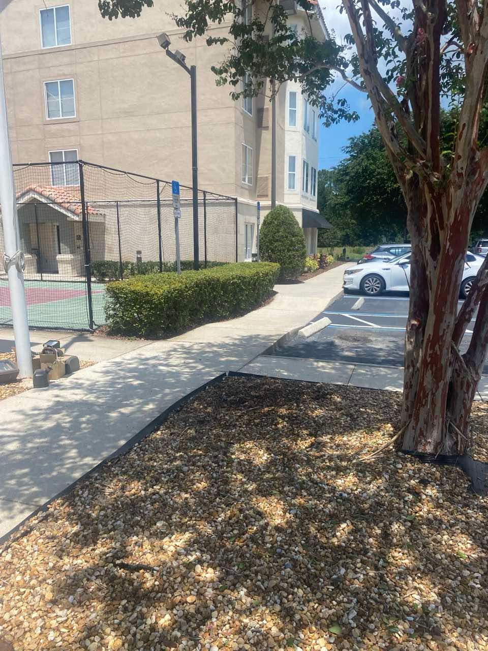 Homewood Suites | Tree Service by ProGreen Services
