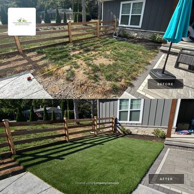 Hilliard Interior Yard Pet Lawn
