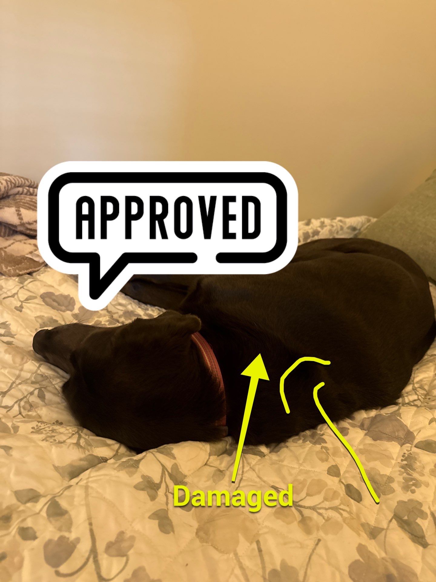 Residential Bedroom and Workspace Remodel in Virginia Beach by Customer Success Demo Account