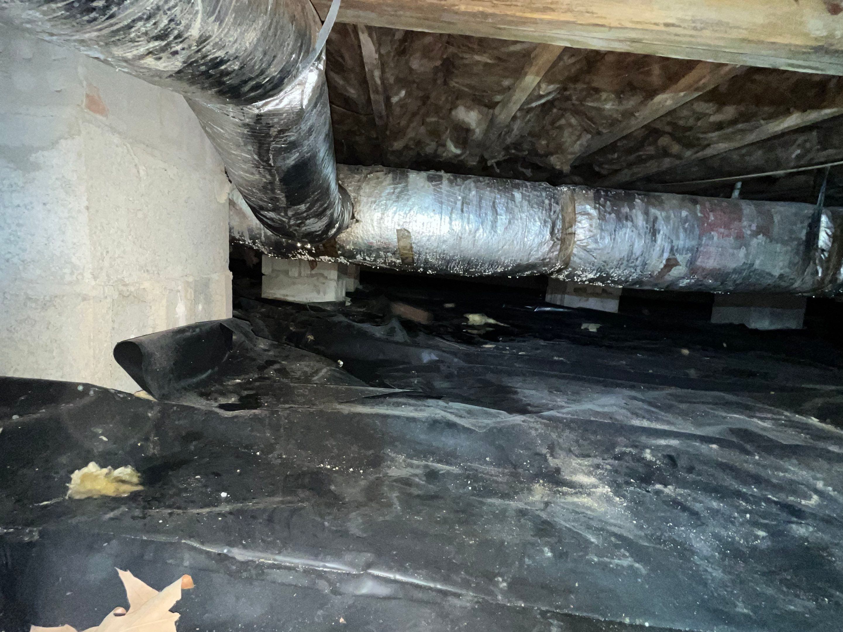 Impact Choice Encapsulation using Tri-Plex Insulation by Impact Crawlspace
