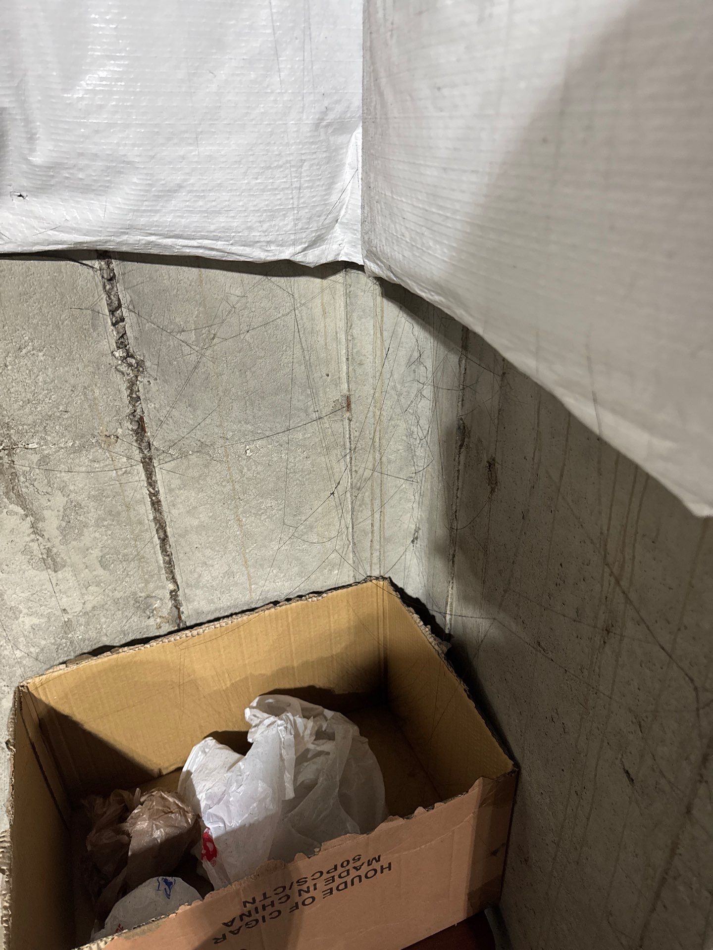 Project in Commerce Twp by EzDry Water Mitigation & Property Restoration