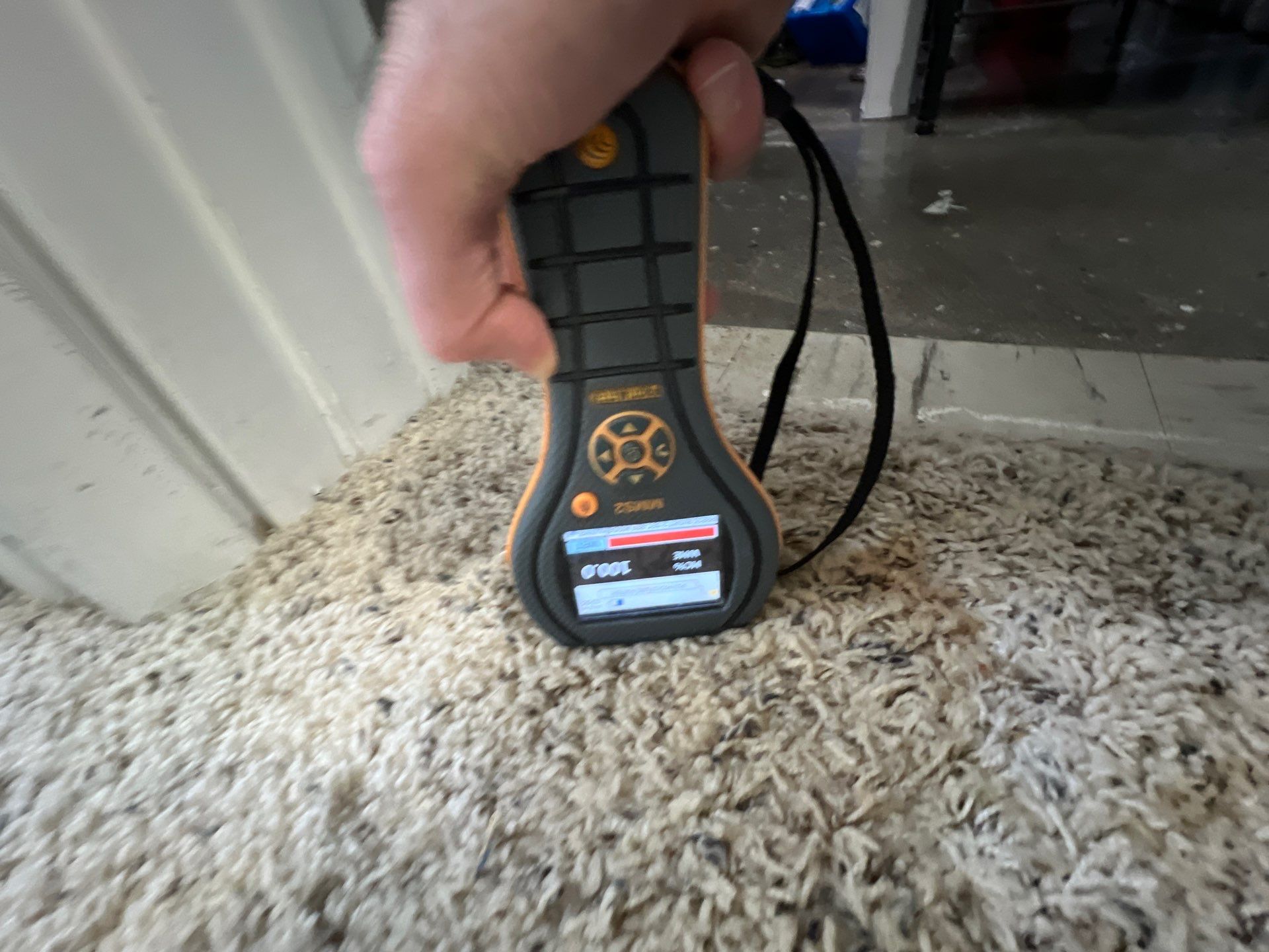 Project in Royal Oak by EzDry Water Mitigation & Property Restoration